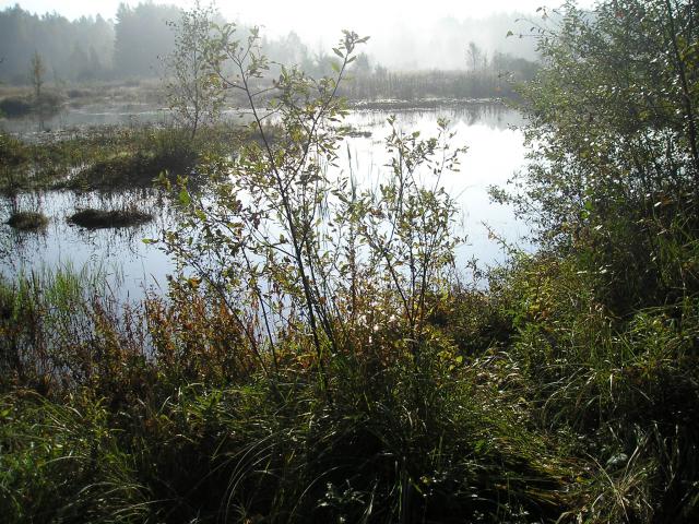 Częstochowa - Zalew w Kostkowicach - Jezioro Porajskie