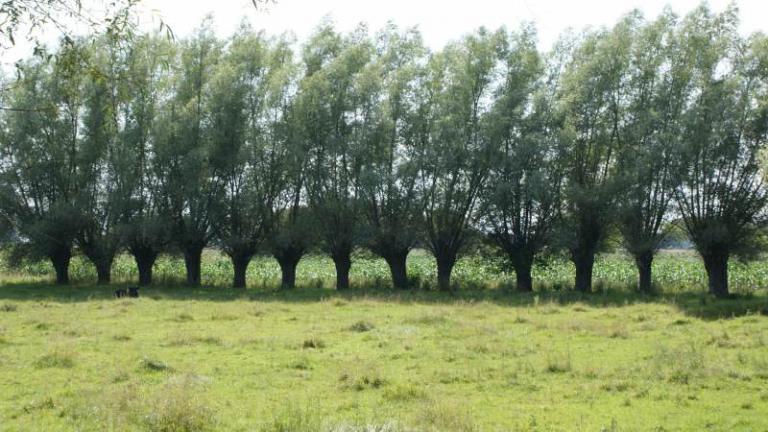 Terespol-Kodeń-Dolhobrod-Włodawa-Sobibór