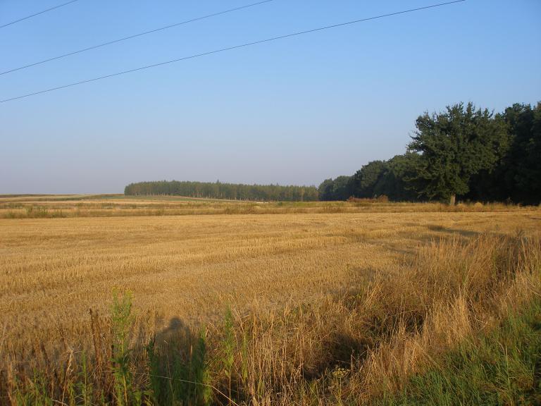 Żółty szlak Doliną Kosarzewki 