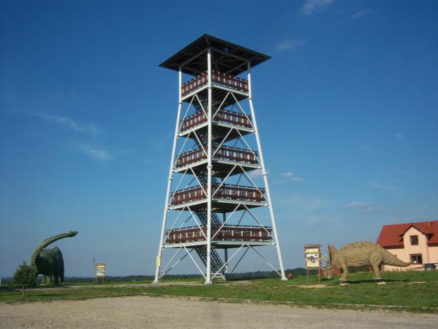 Zamczysko - Wierza Widokowa (Głobikowa)
