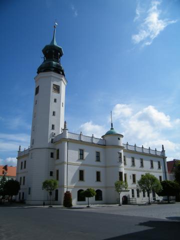Sulechów - Radowice i pobliskie okolice