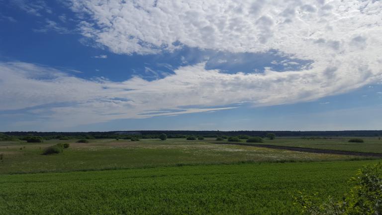 Trawniki-kółko 20km 03.V.2018